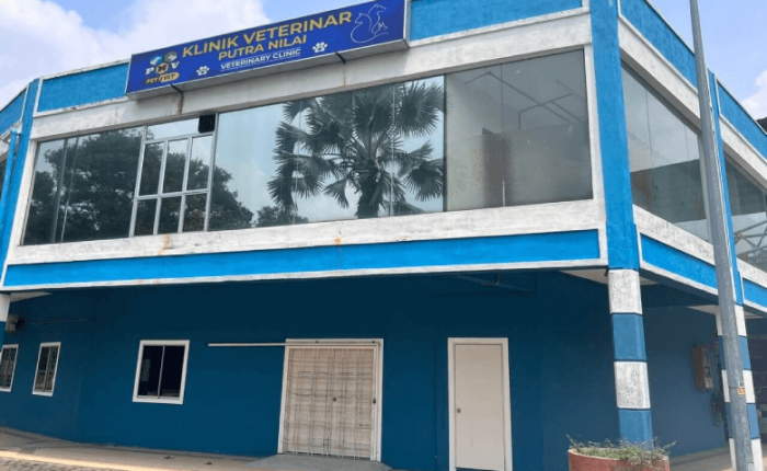 THE BEST QUALITY TINTED BUILDING BANDAR KOTA SERIEMAS