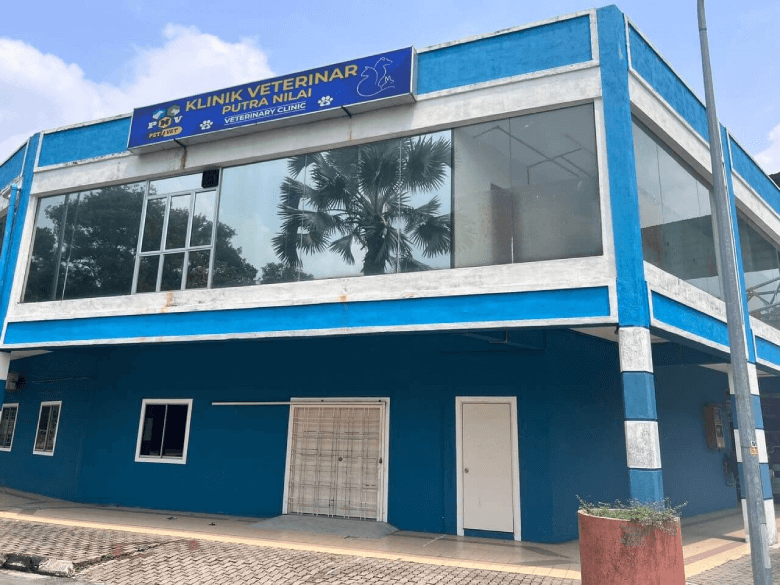 THE BEST QUALITY TINTED BUILDING BANDAR KOTA SERIEMAS